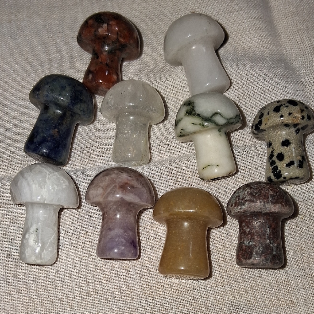 MM5 Assorted Stone Mushroom Figurines - Set of 10